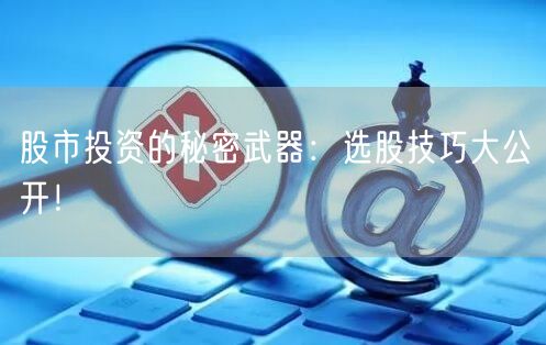 股市投资的秘密武器：选股技巧大公开！