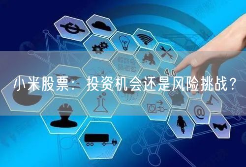 小米股票：投资机会还是风险挑战？
