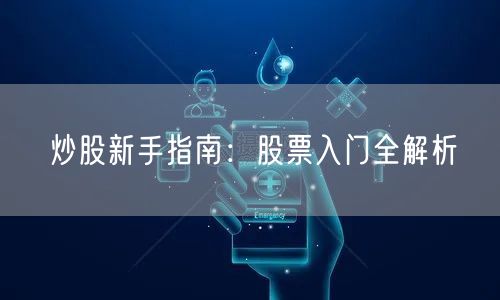 炒股新手指南:股票入门全解析
