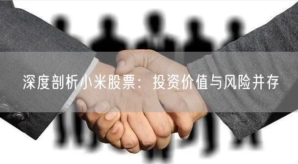 深度剖析小米股票：投资价值与风险并存
