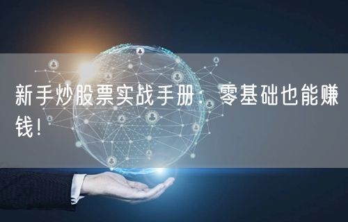 新手炒股票实战手册：零基础也能赚钱！