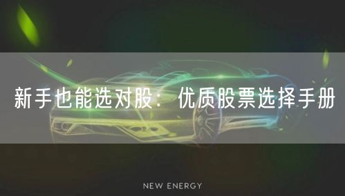 新手也能选对股:优质股票选择手册