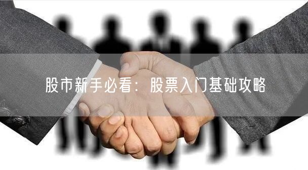 股市新手必看：股票入门基础攻略