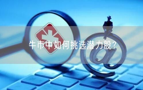 牛市中如何挑选潜力股?