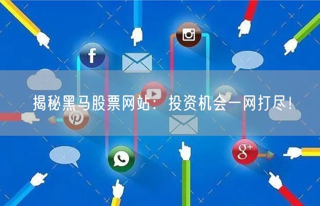 揭秘黑马股票网站：投资机会一网打尽！