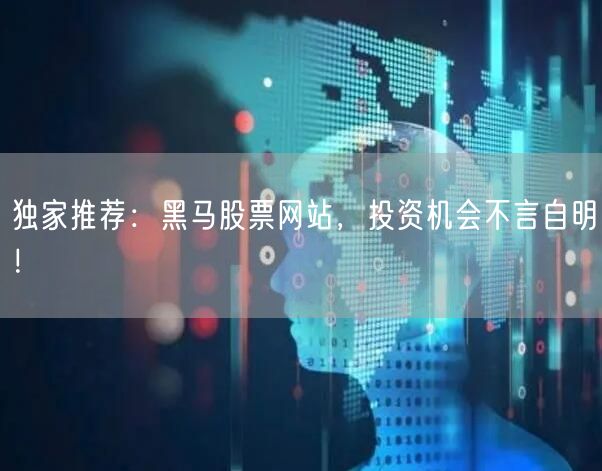 独家推荐：黑马股票网站，投资机会不言自明！