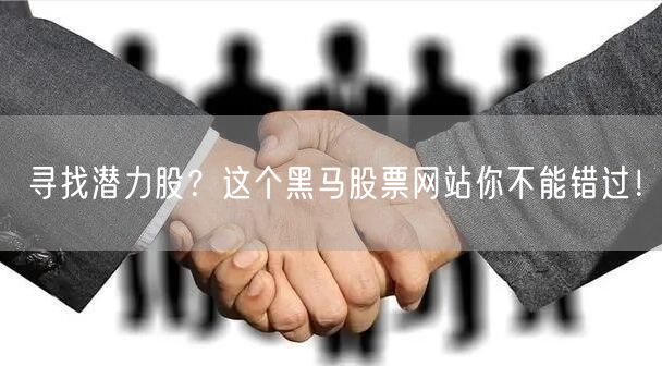 寻找潜力股？这个黑马股票网站你不能错过！