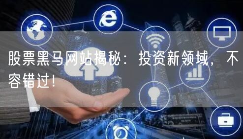 股票黑马网站揭秘：投资新领域，不容错过！
