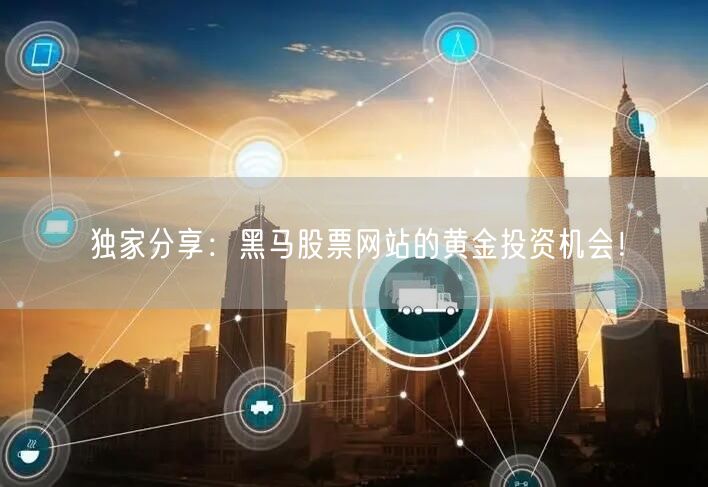 独家分享：黑马股票网站的黄金投资机会！