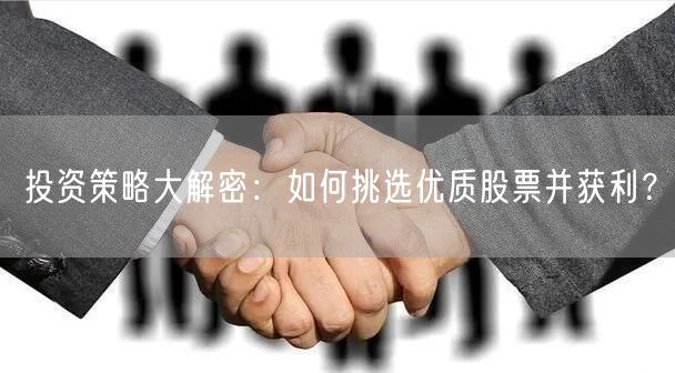 投资策略大解密：如何挑选优质股票并获利？