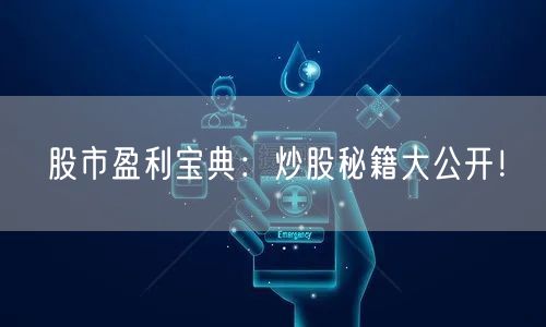 股市盈利宝典：炒股秘籍大公开！