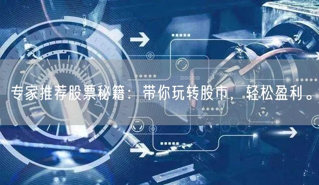 专家推荐股票秘籍：带你玩转股市，轻松盈利。