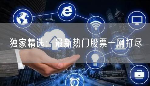 独家精选：最新热门股票一网打尽