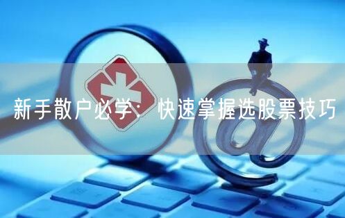 新手散户必学：快速掌握选股票技巧