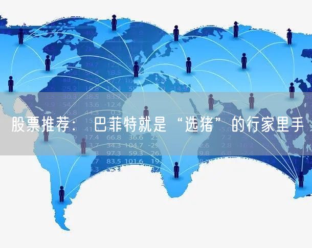 股票推荐： 巴菲特就是“选猪”的行家里手