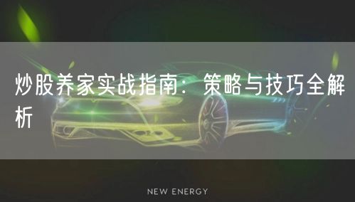 炒股养家实战指南：策略与技巧全解析