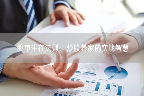股市生存法则：炒股养家的实战智慧