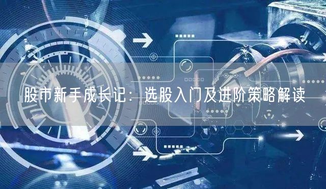 股市新手成长记：选股入门及进阶策略解读