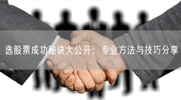 选股票成功秘诀大公开：专业方法与技巧分享