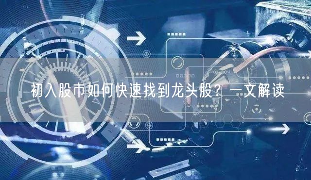 初入股市如何快速找到龙头股?一文解读