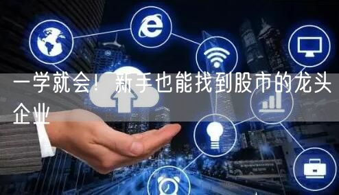一学就会！新手也能找到股市的龙头企业