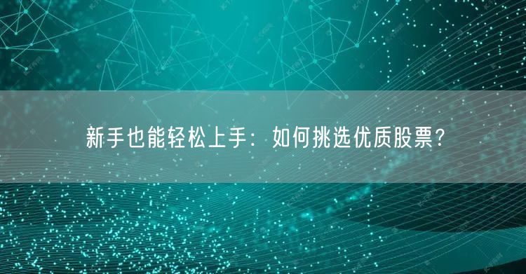 新手也能轻松上手：如何挑选优质股票？