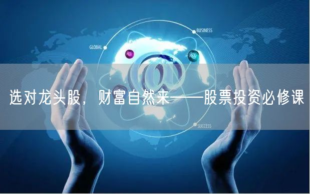 选对龙头股,财富自然来——股票投资必修课