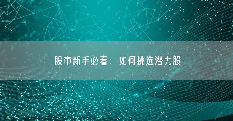 股市新手必看：如何挑选潜力股