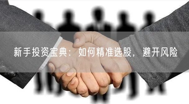 新手投资宝典：如何精准选股，避开风险