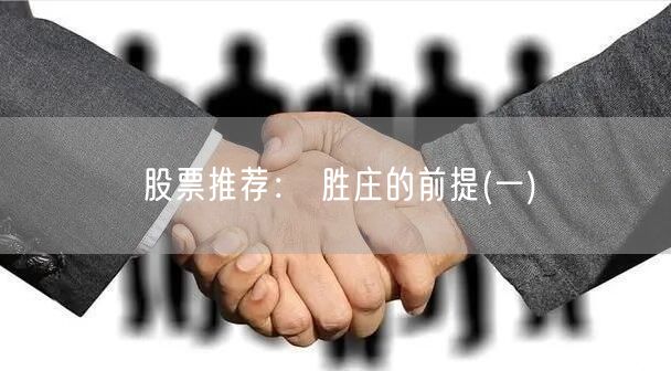 股票推荐： 胜庄的前提(一)
